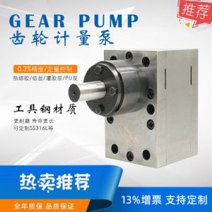 微小流体齿轮计量泵自动化定量罐装控制计量泵耐高温胶水齿轮泵
