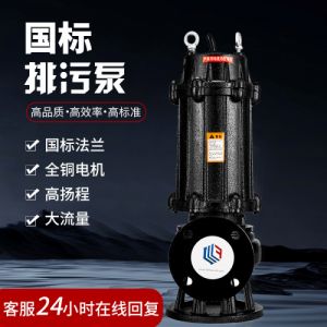 无堵塞潜水排污泵污水提升泵潜污泵家用抽水高扬程大流量增压泵