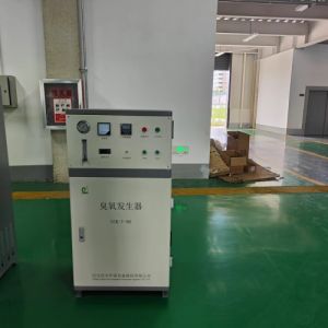 冠宇100g空气型臭氧发生器 海产育苗水循环消毒杀菌除藻 支持定制