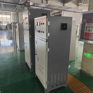 鑫冠宇臭氧发生器GCY-T-400海水养殖机敏虾循环水的消毒